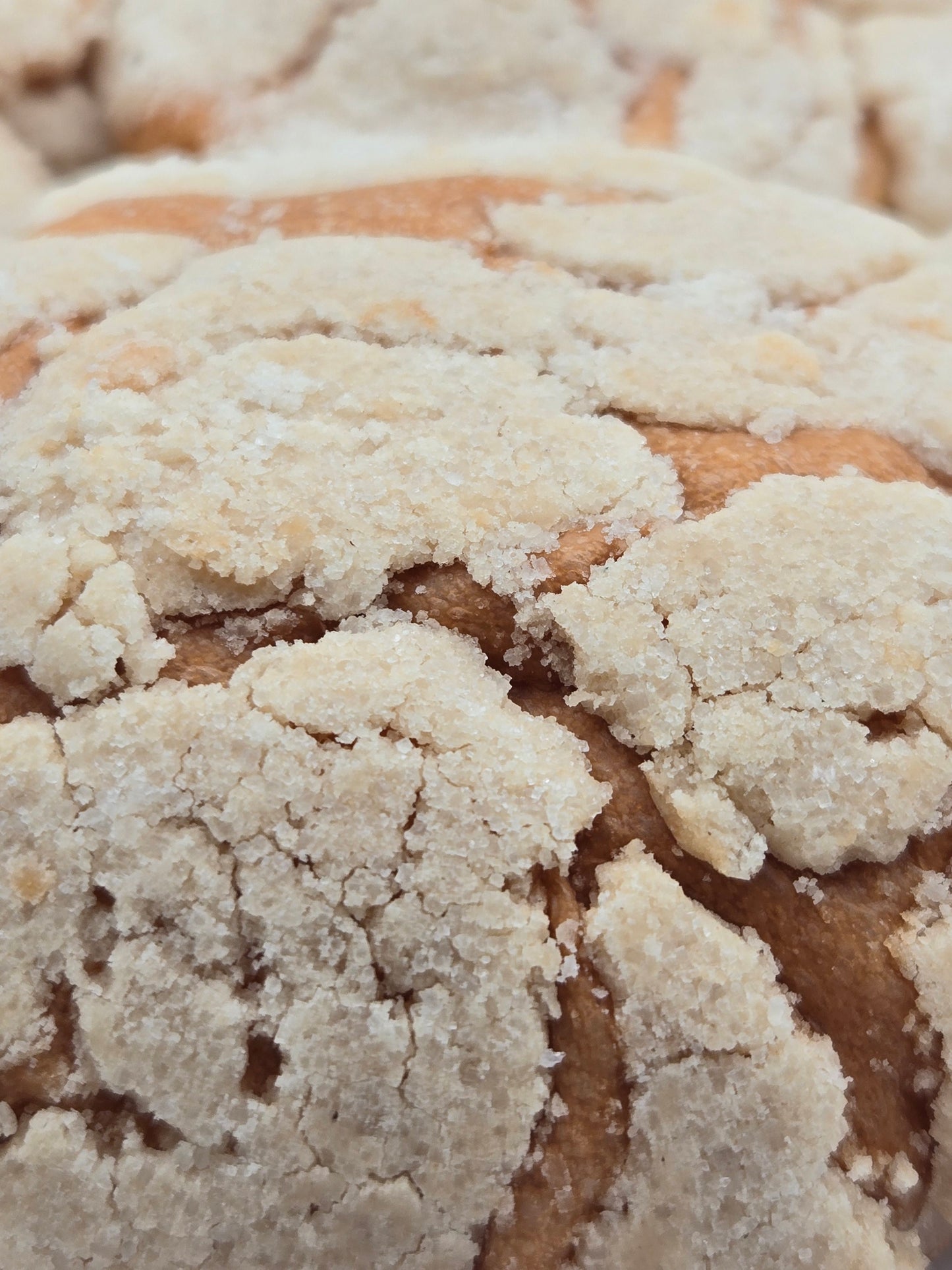 Semita Tradicional de Arroz Hondureña / Rice Semita Biscuits - Lempira - 16 oz - 12 Unidades