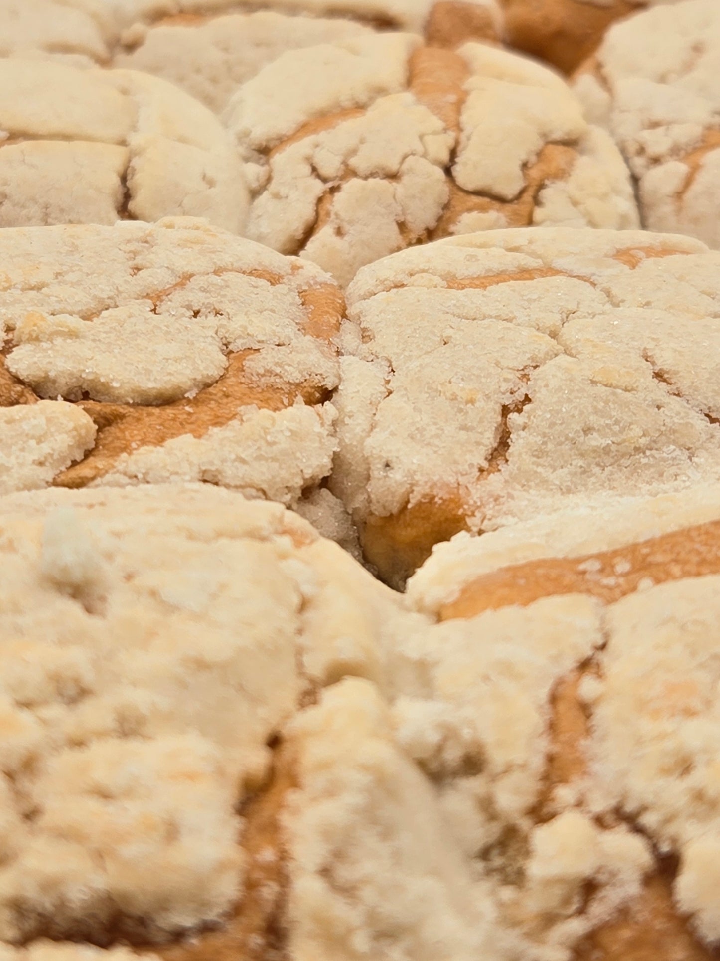 Semita Tradicional de Arroz Hondureña / Rice Semita Biscuits - Lempira - 16 oz - 12 Unidades