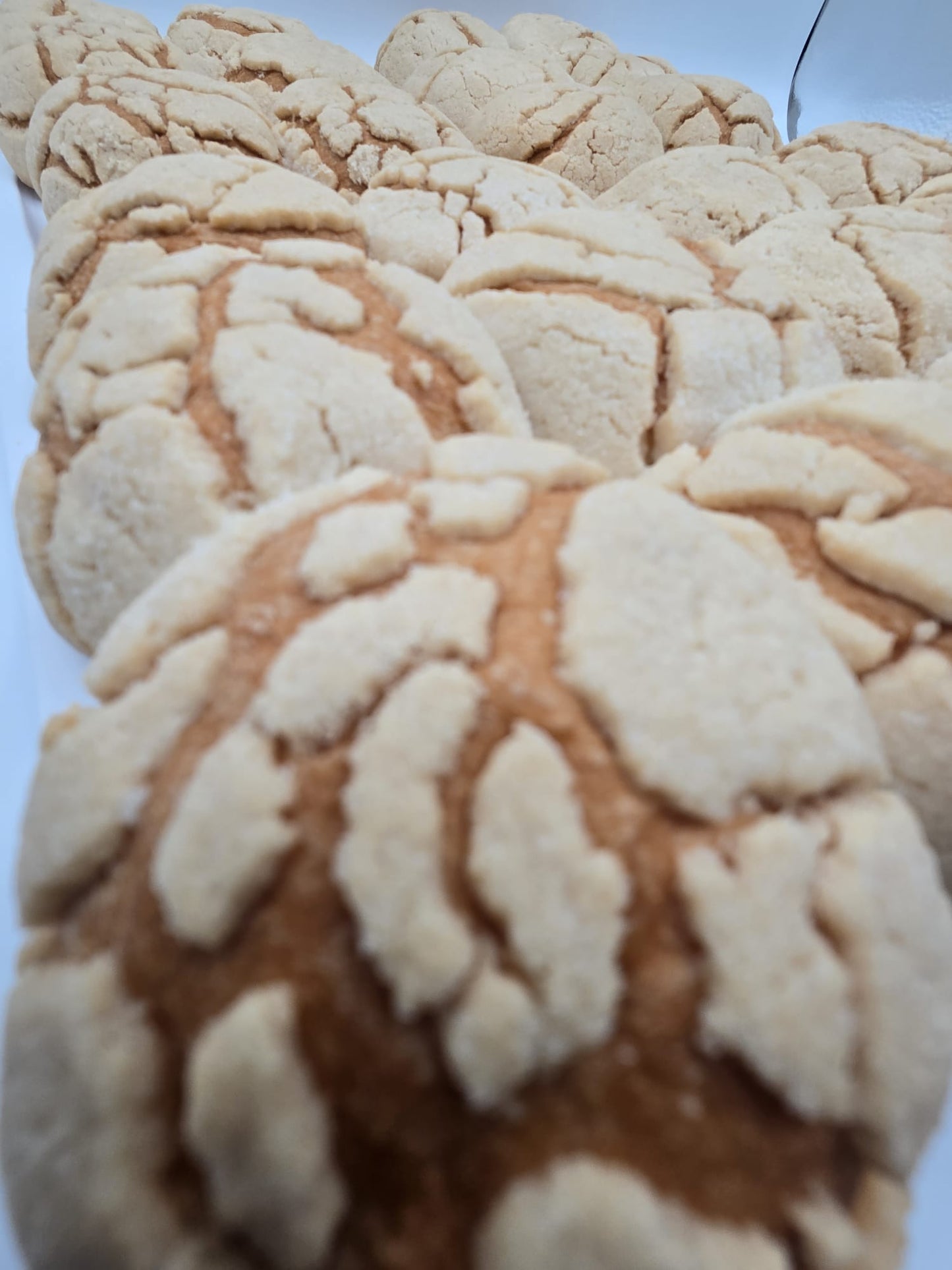 Semita de Arroz 2 Pack / Biscuit - Honduran Style Semitas  Total  2 Lb.  (32 oz) - 24 Unit