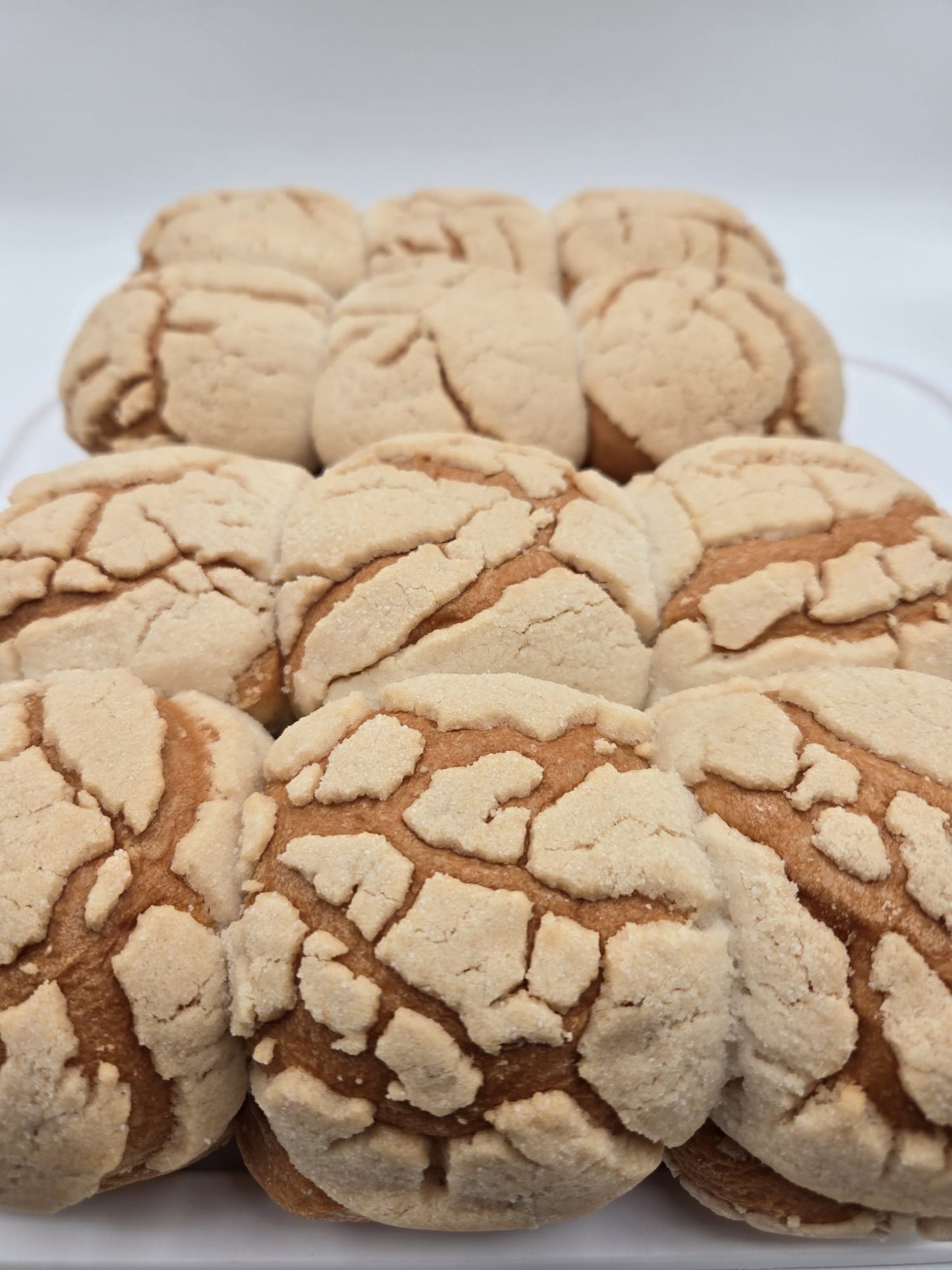 Semita de Arroz 2 Pack / Biscuit - Honduran Style Semitas  Total  2 Lb.  (32 oz) - 24 Unit